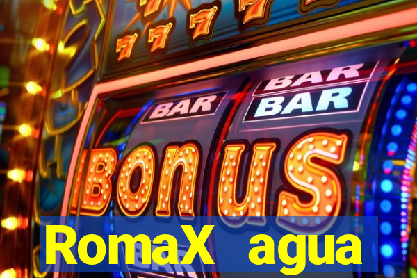 RomaX agua sanitaria fispq agua sanitaria romax